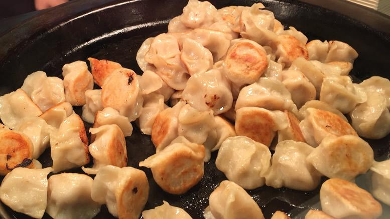 Chinese pan-fried dumplings